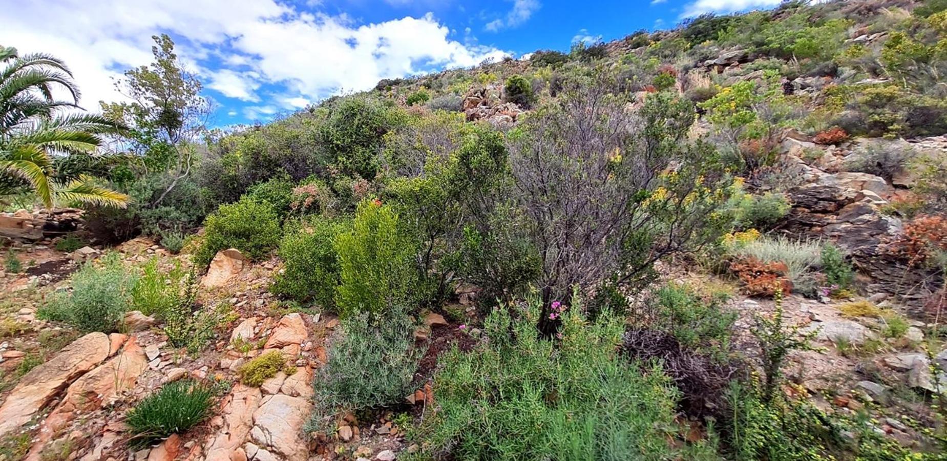 דירות Montagu Little Sanctuary - Hot Spring Access At Reduced Price חדר תמונה