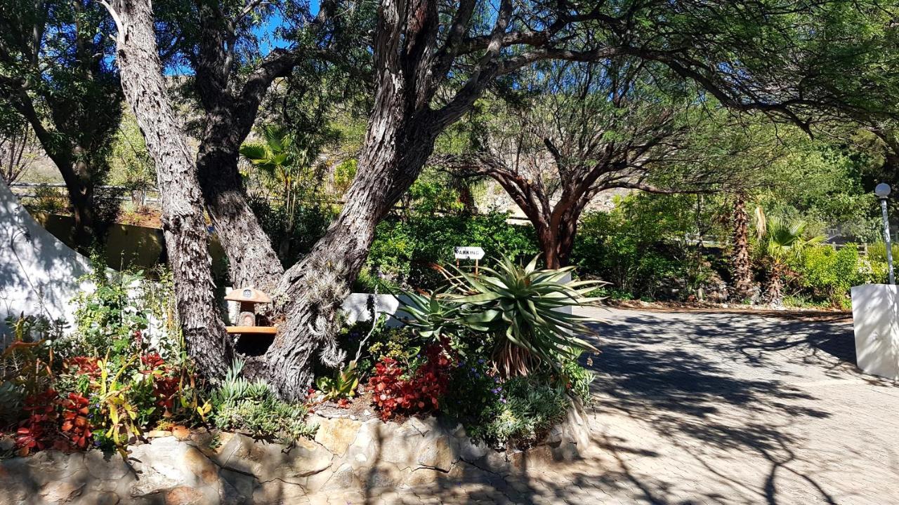דירות Montagu Little Sanctuary - Hot Spring Access At Reduced Price מראה חיצוני תמונה