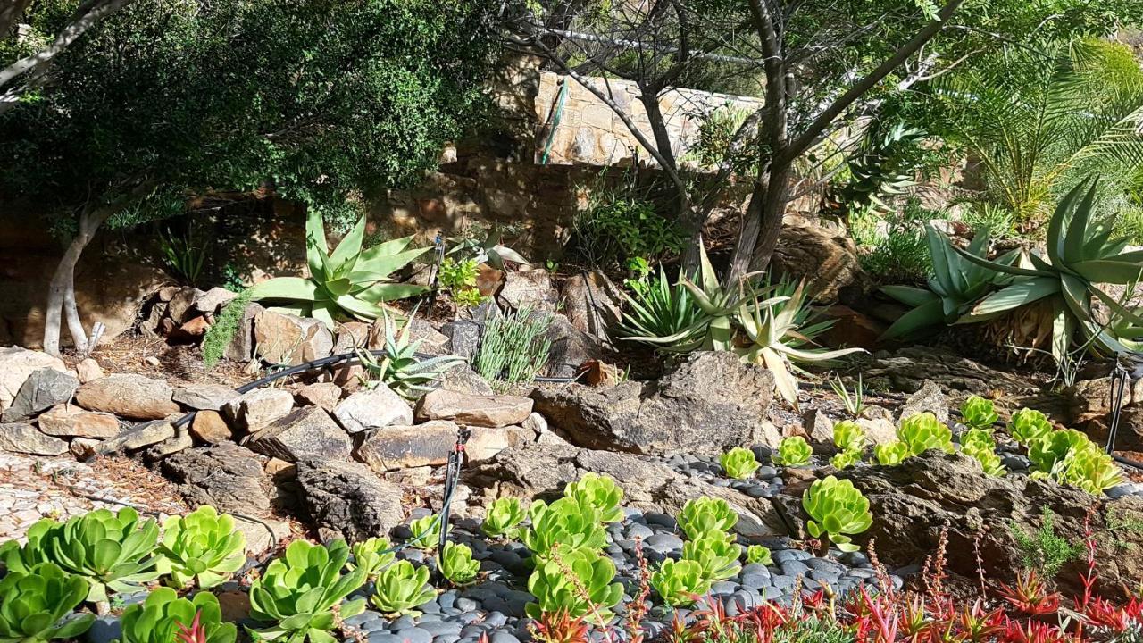 דירות Montagu Little Sanctuary - Hot Spring Access At Reduced Price מראה חיצוני תמונה