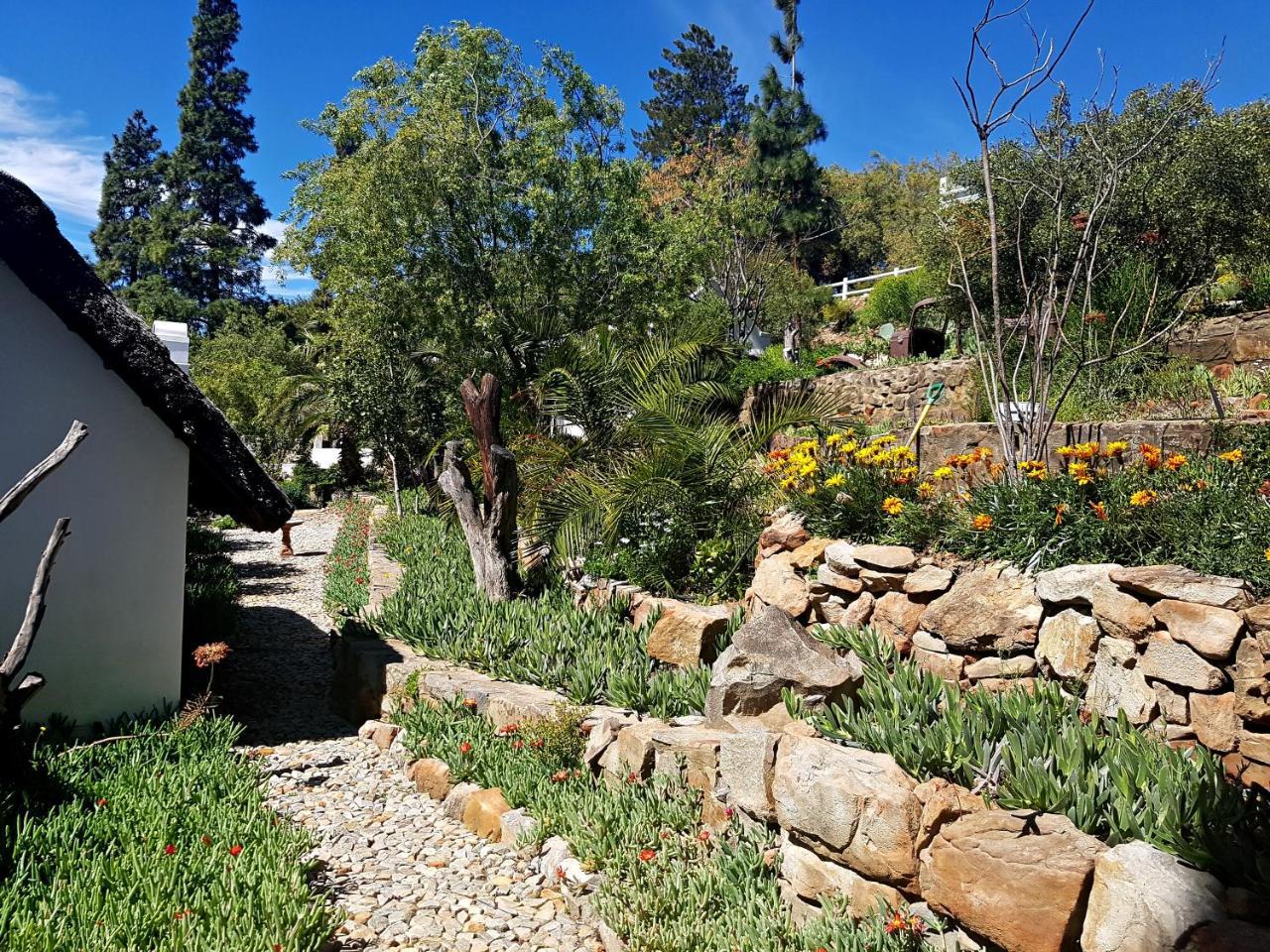 דירות Montagu Little Sanctuary - Hot Spring Access At Reduced Price מראה חיצוני תמונה